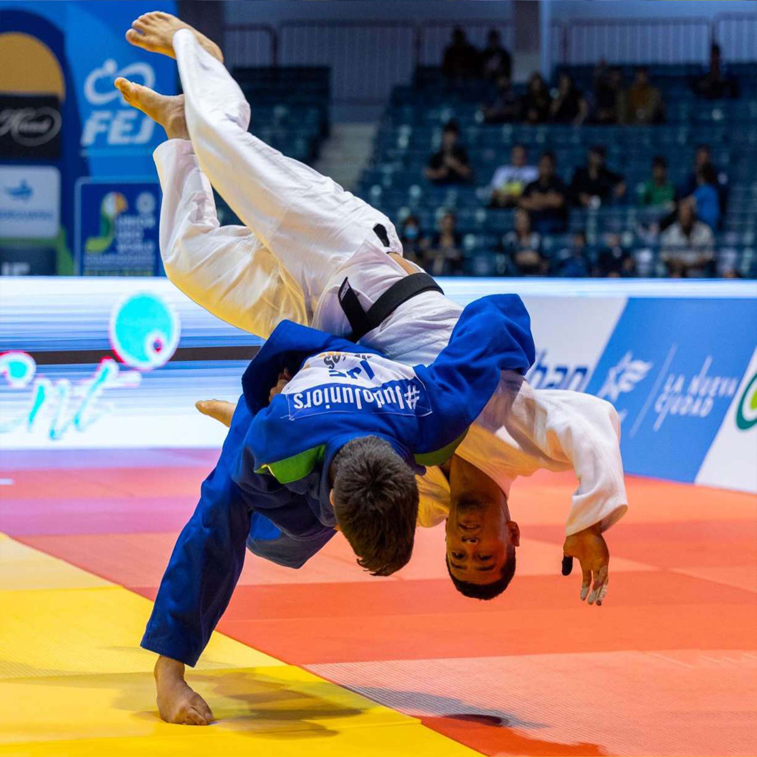 Gravolite Judo Mats