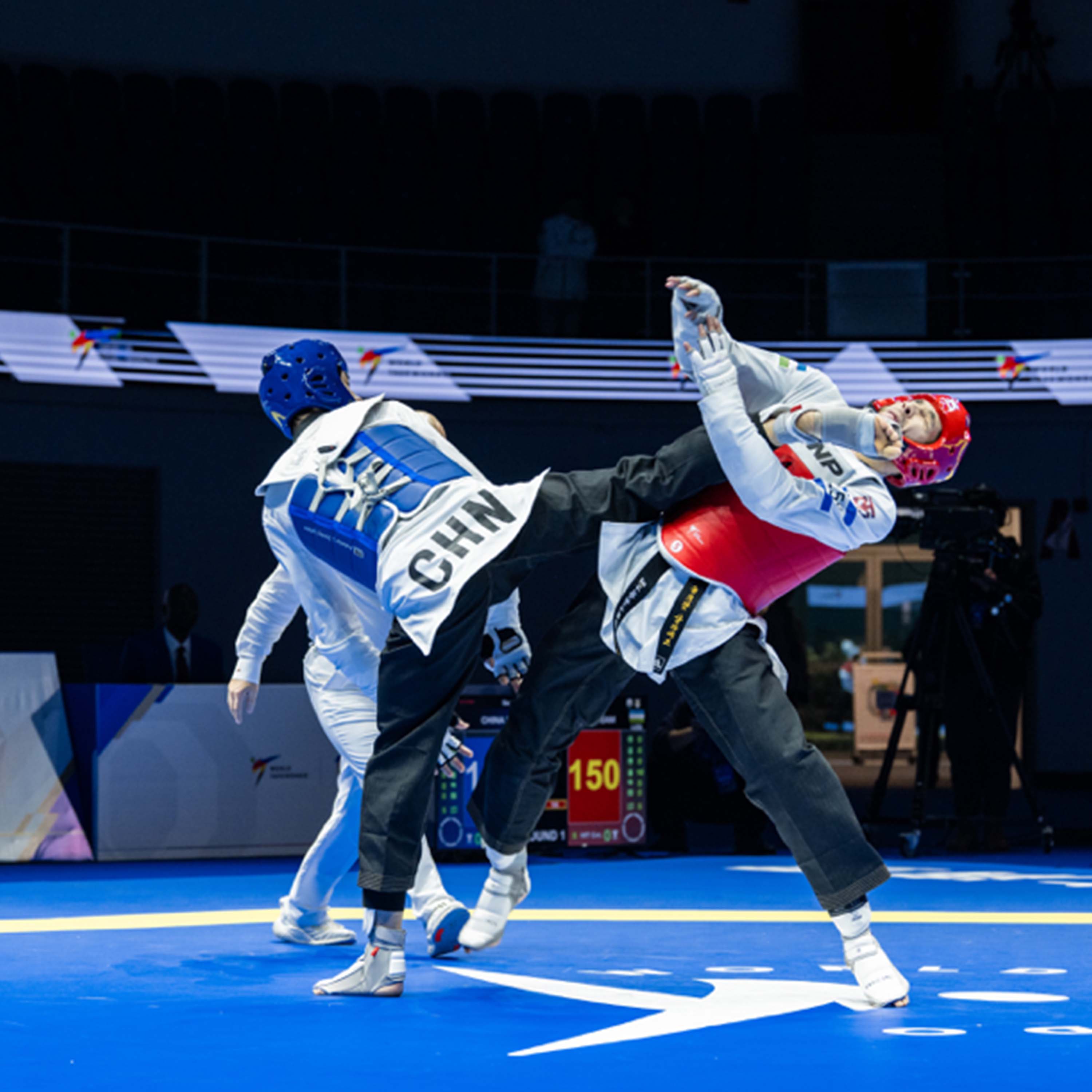 Mats Taekwondo Approved 