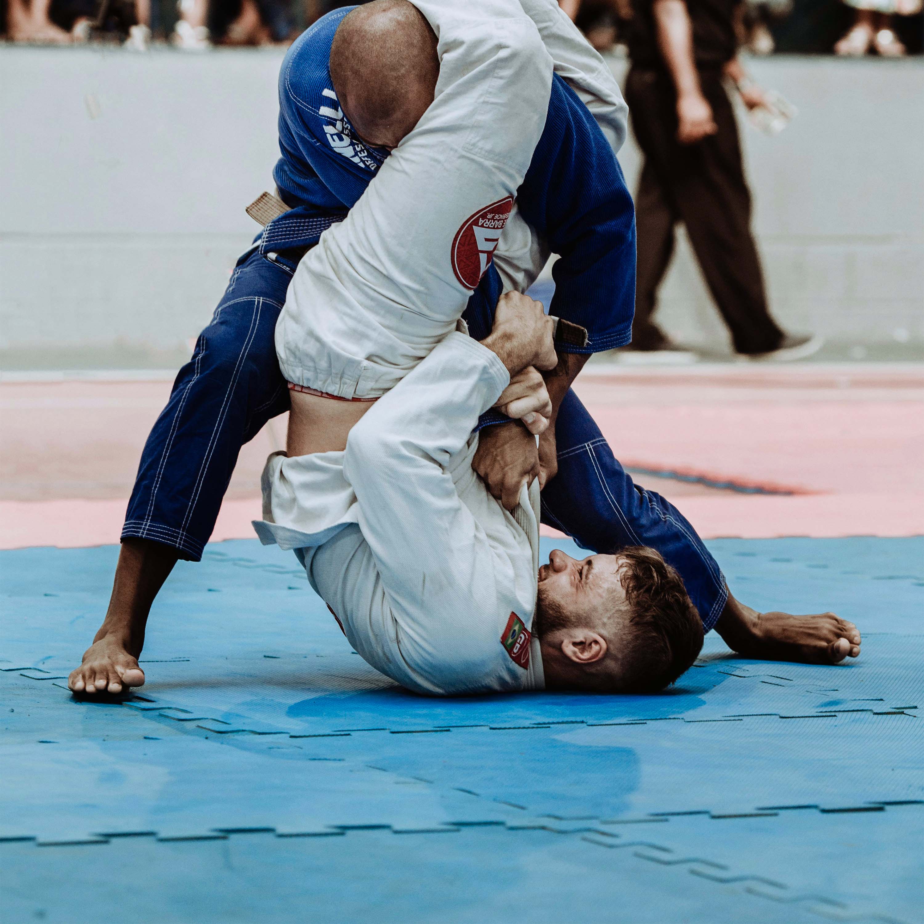 Martial Arts Puzzle Mats Gravolite